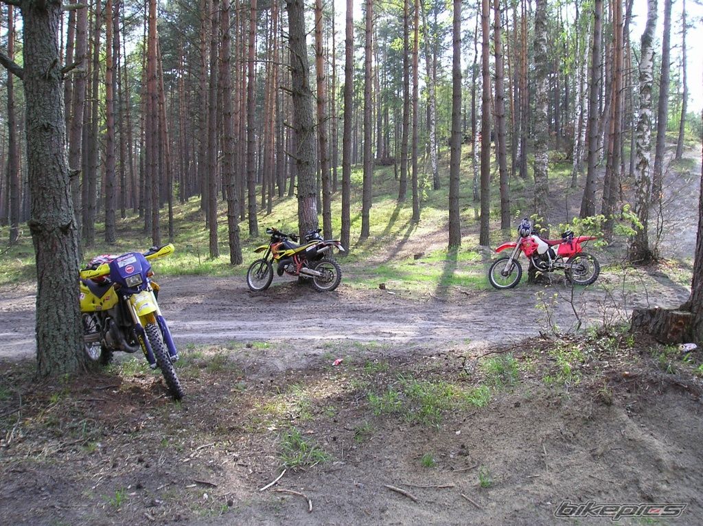 Photo 1268333