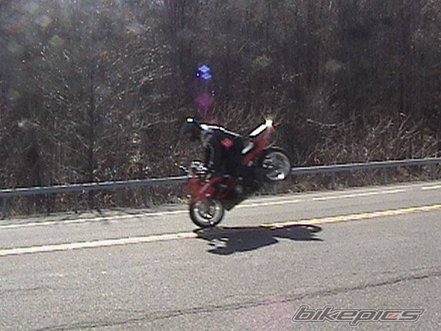 Photo 126837