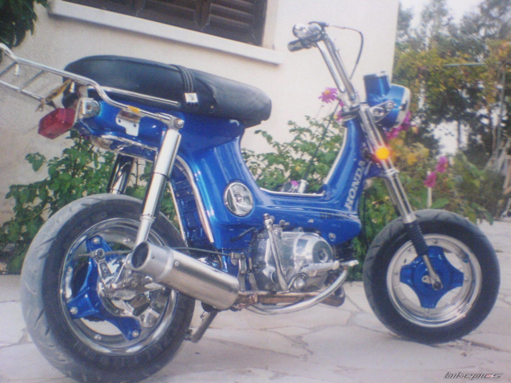 Photo 1268384