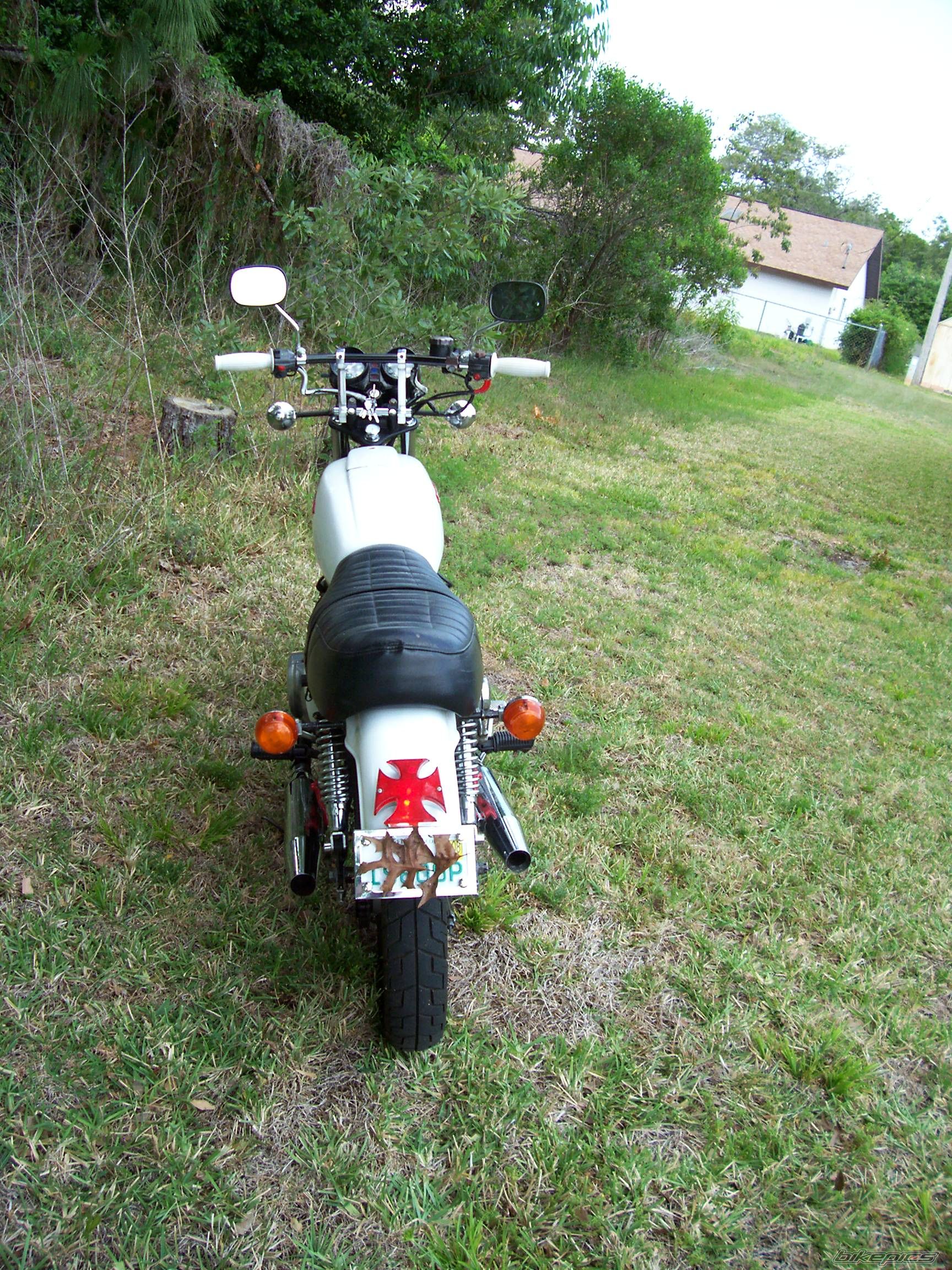 Photo 1268447