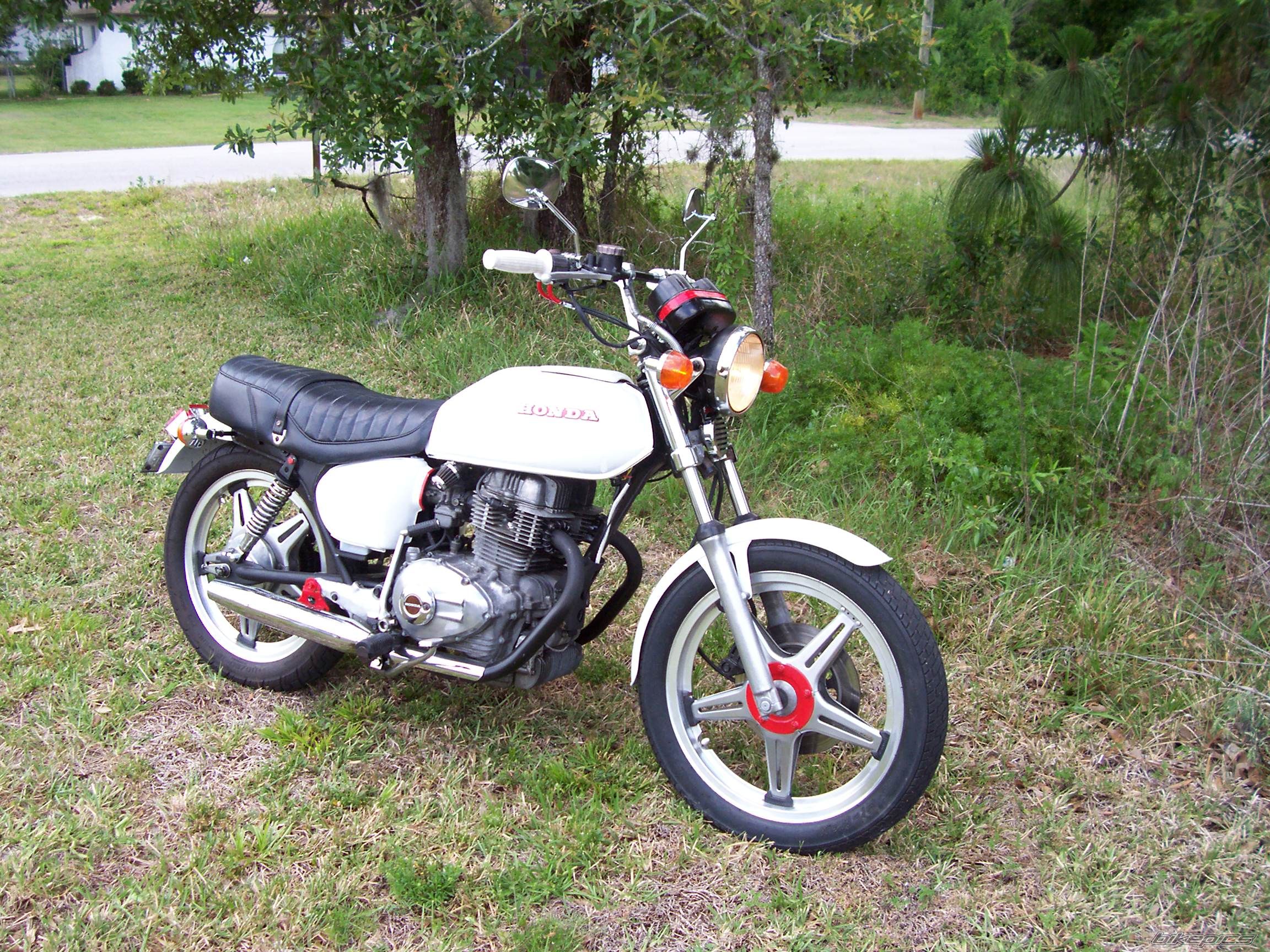 Photo 1268449