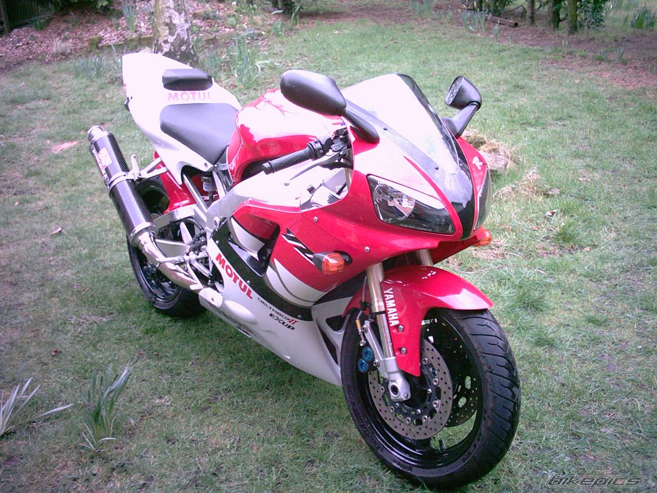 Photo 126850
