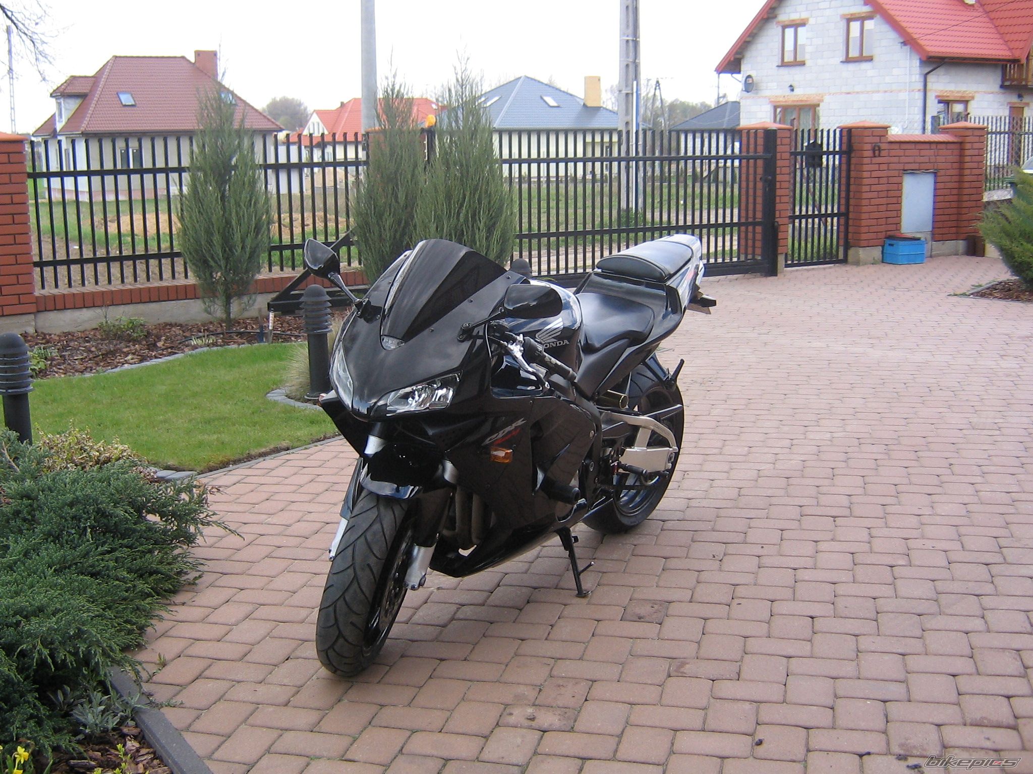 Photo 1268519