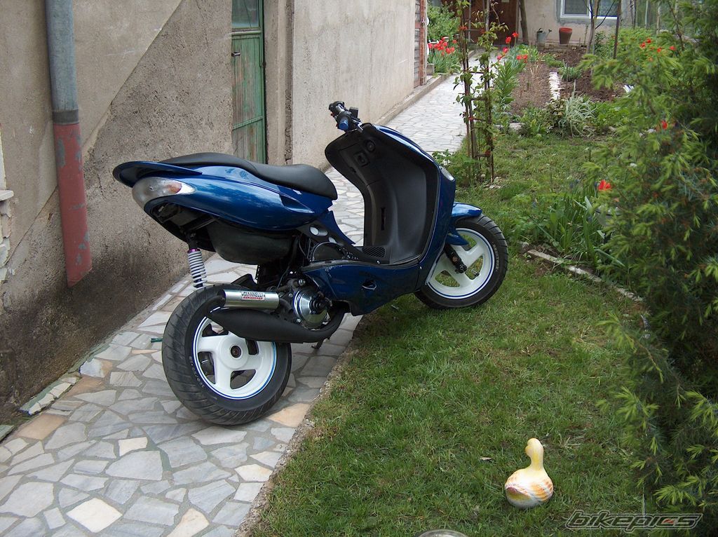 Photo 1268520
