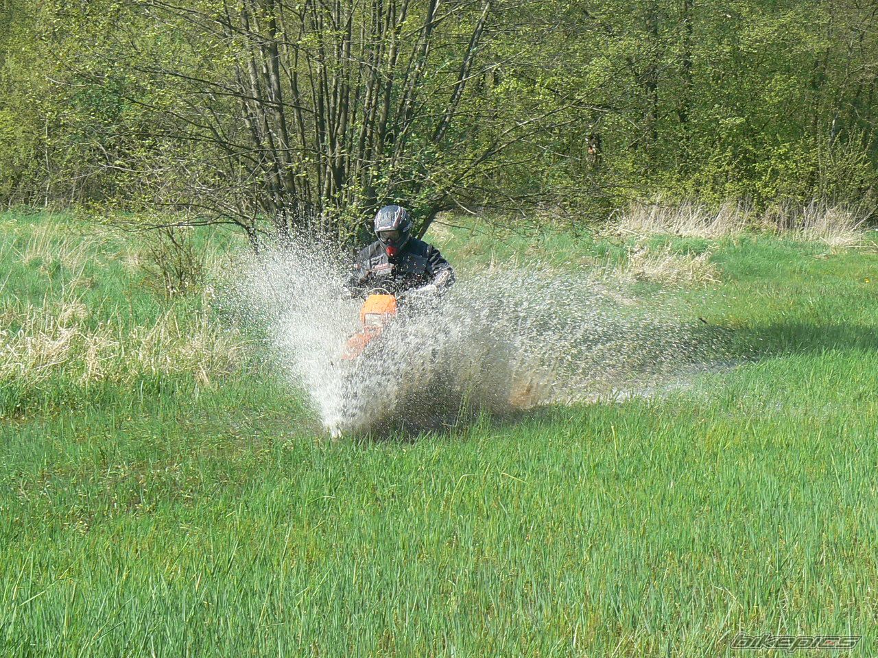 Photo 1268549