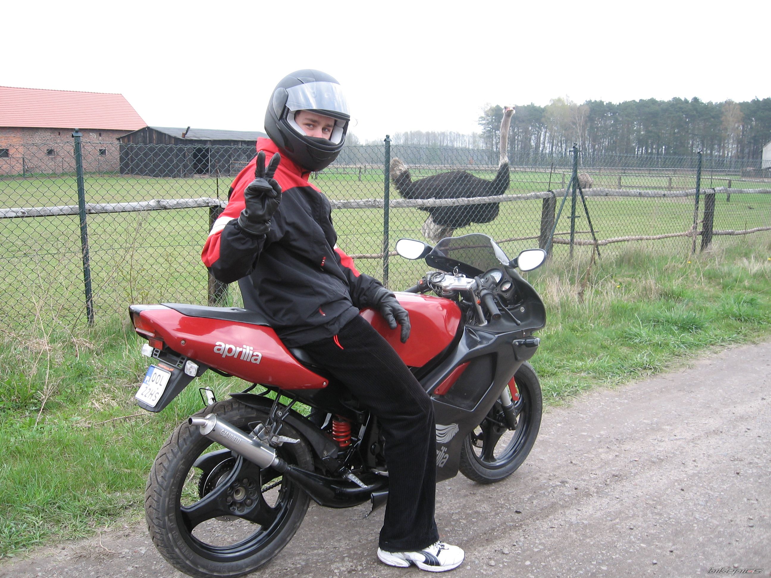 Photo 1268569