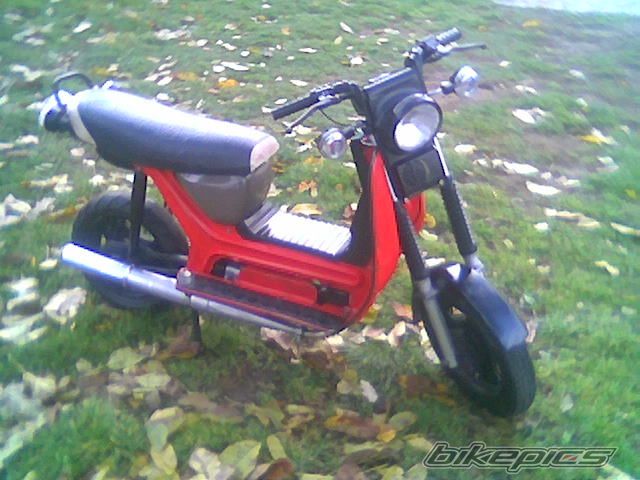 Photo 1268576