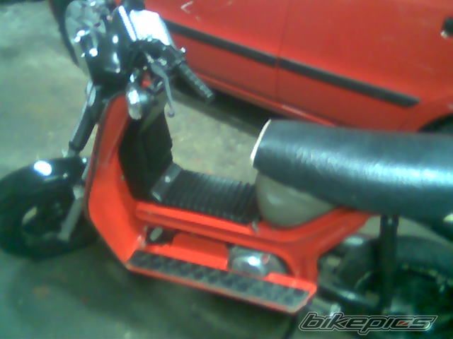 Photo 1268578
