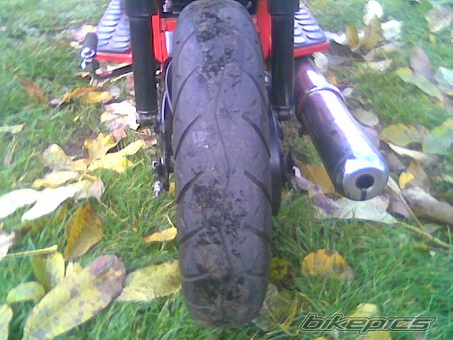 Photo 1268580
