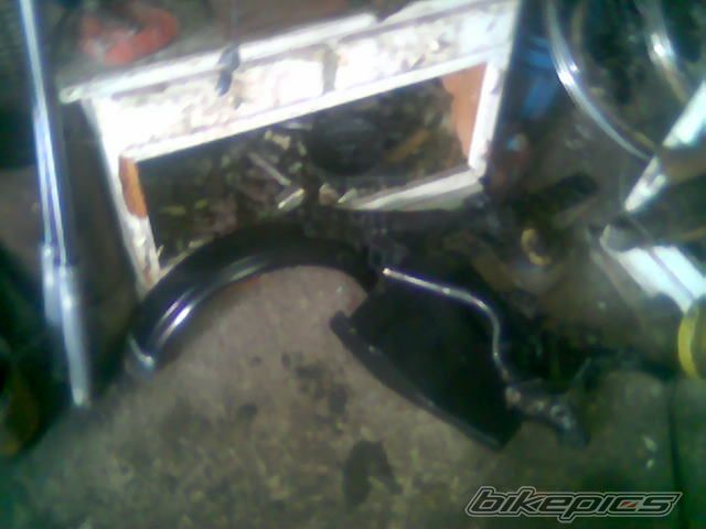 Photo 1268585