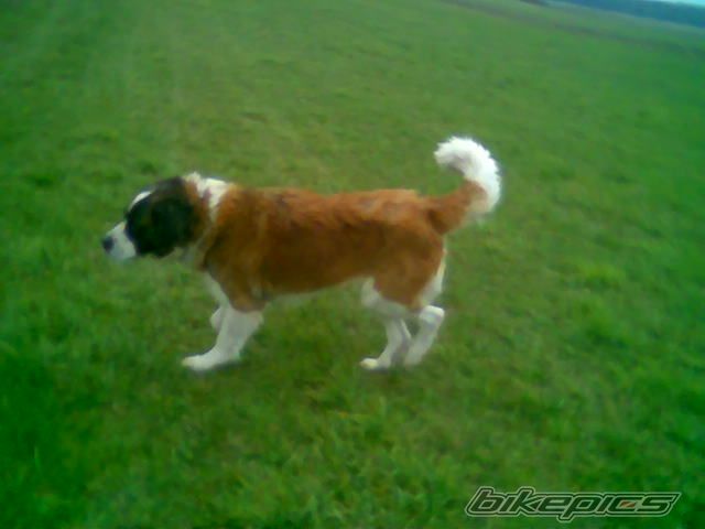 Photo 1268589