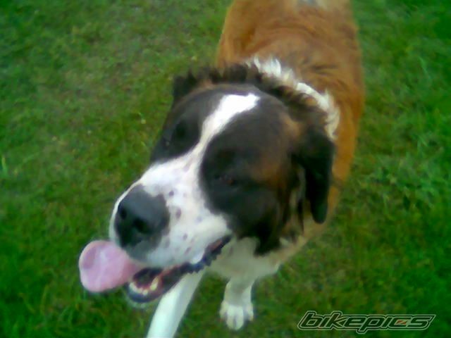 Photo 1268591