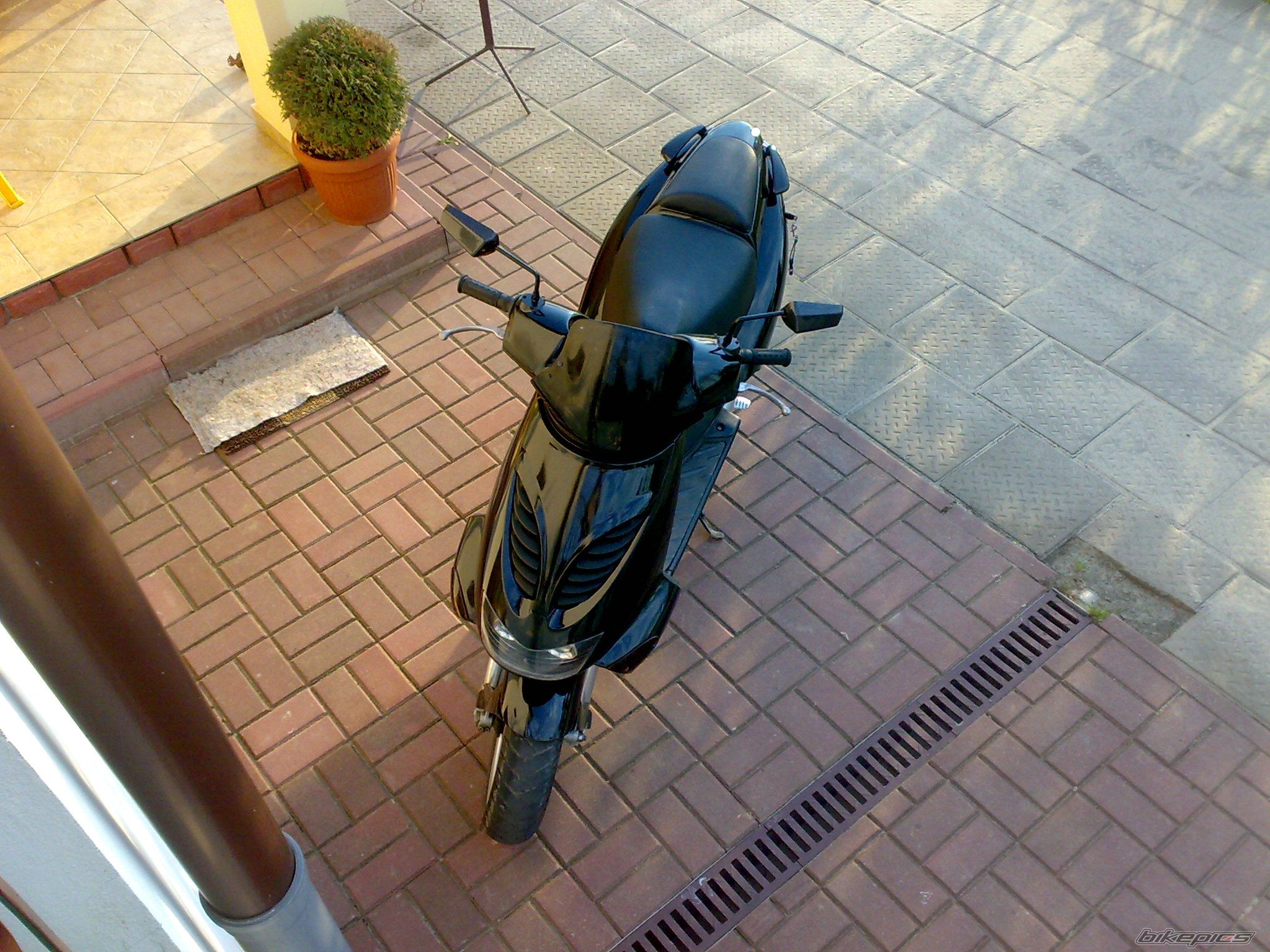Photo 1268594