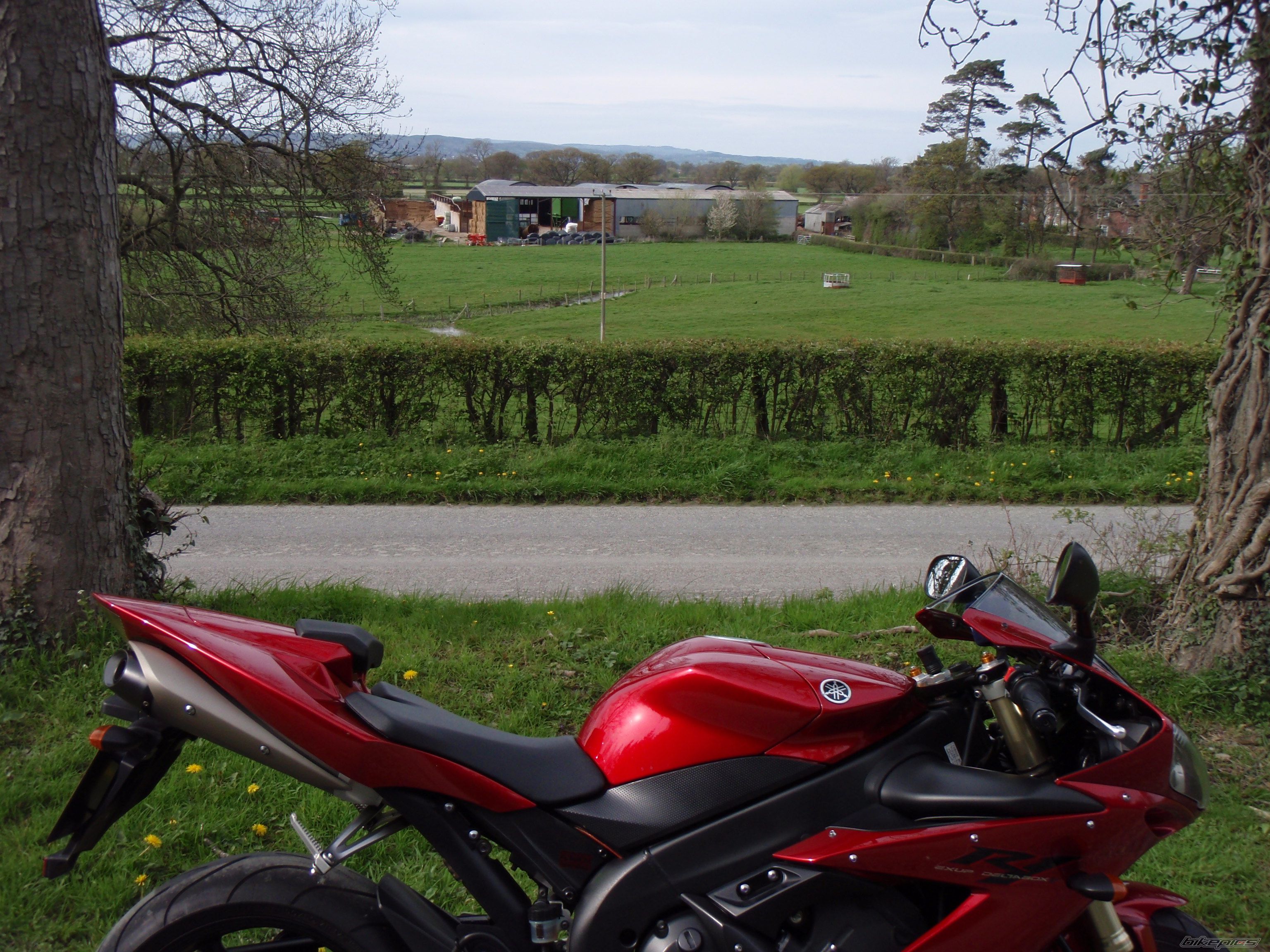 Photo 1268602