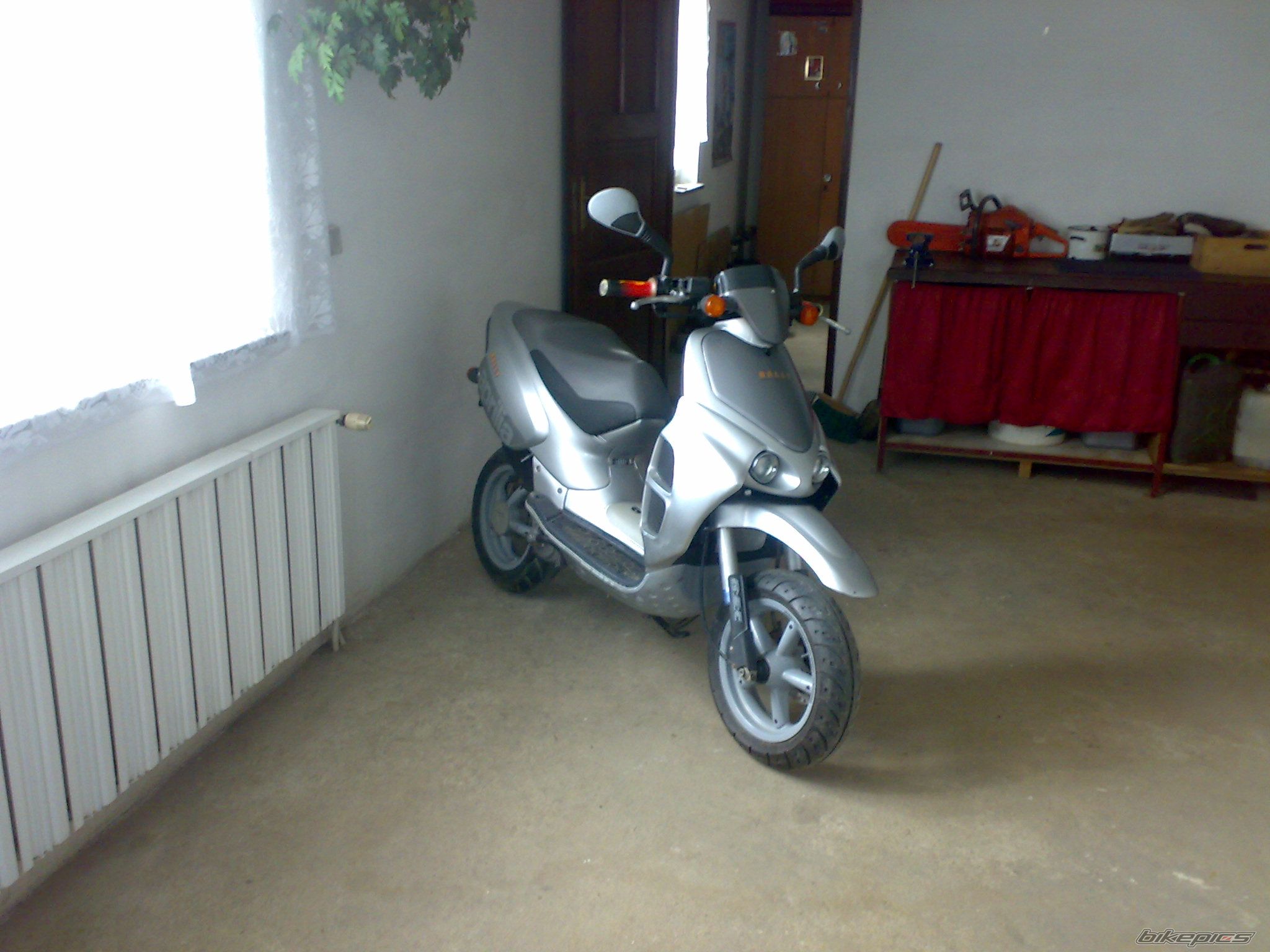 Photo 1268610