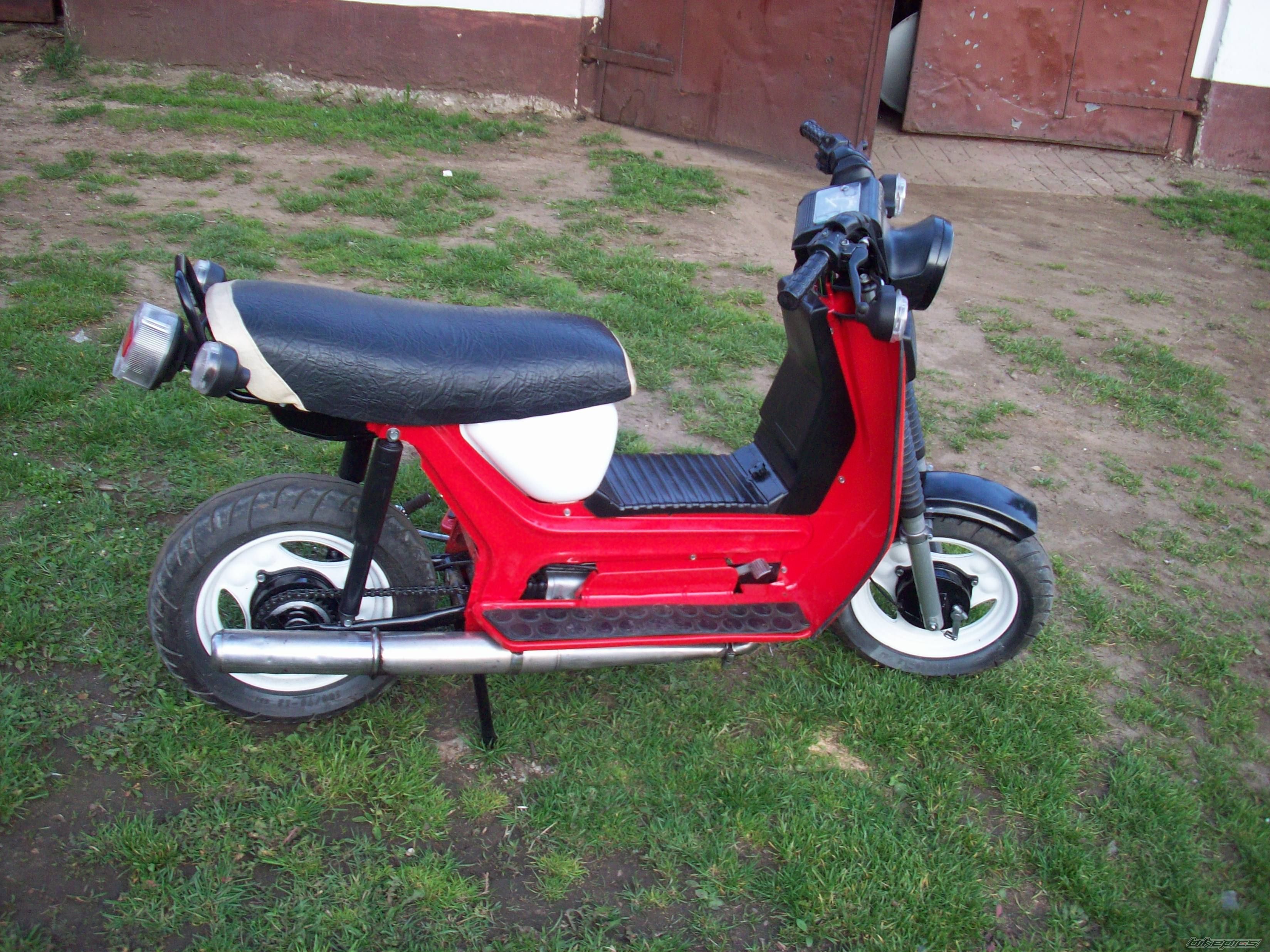 Photo 1268647
