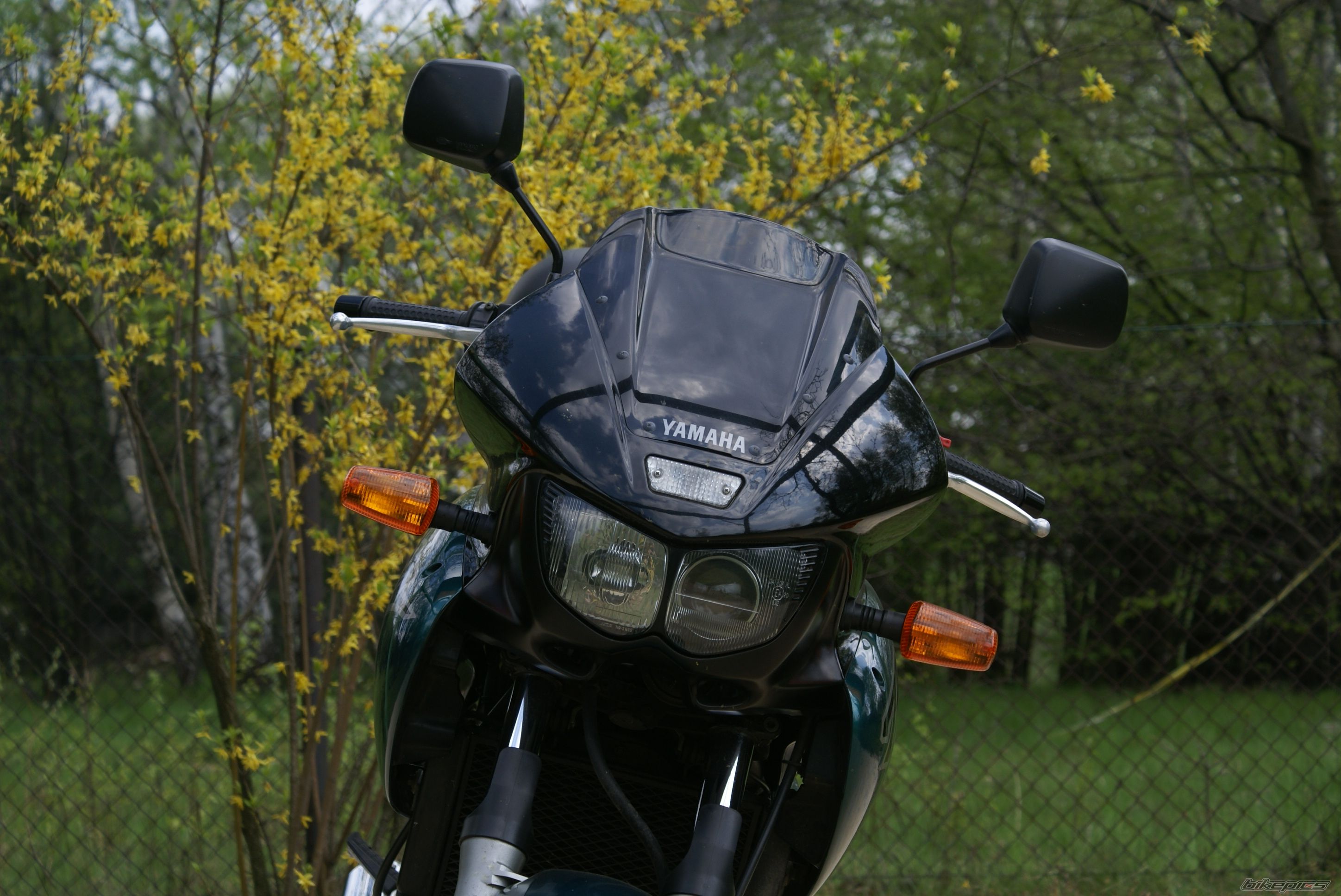 Photo 1268651
