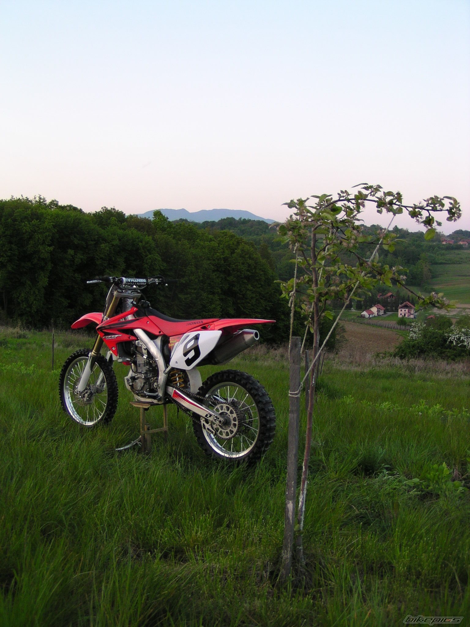Photo 1268682