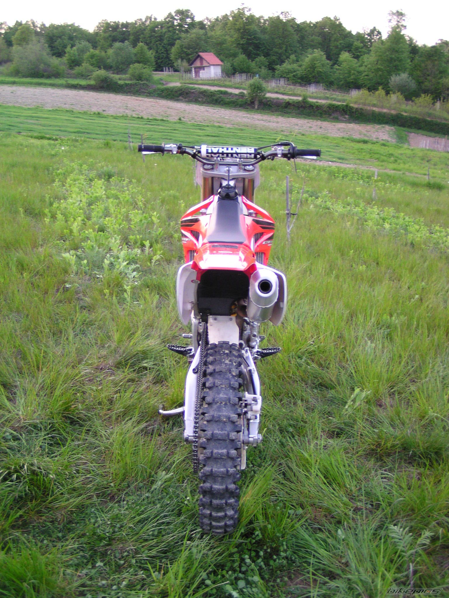 Photo 1268687