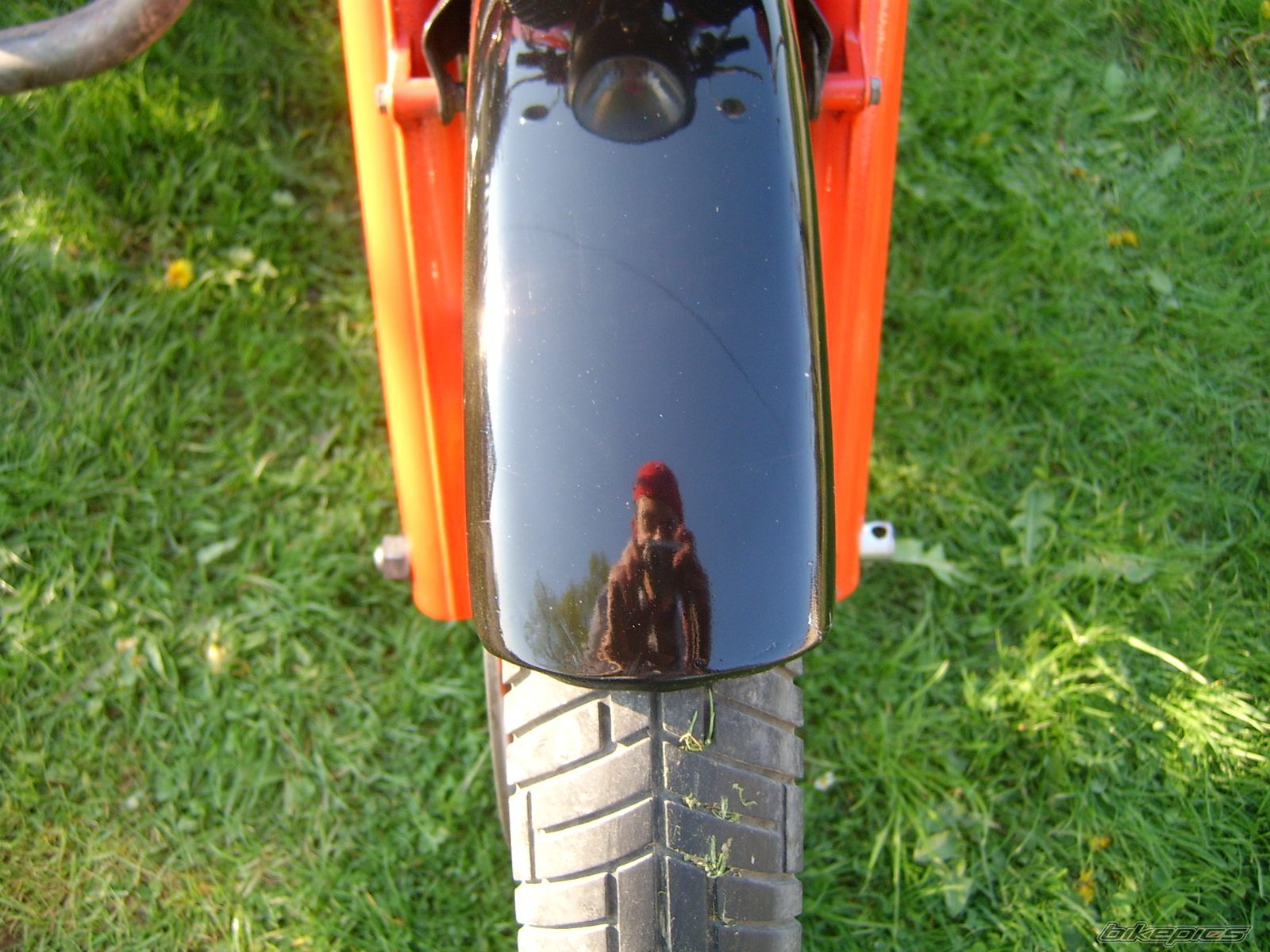 Photo 1268689