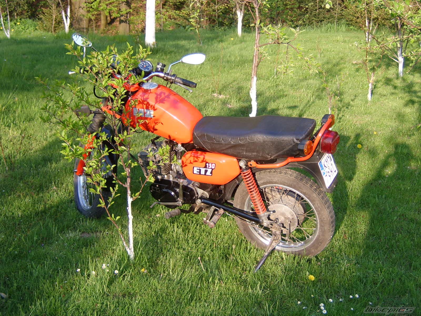 Photo 1268743