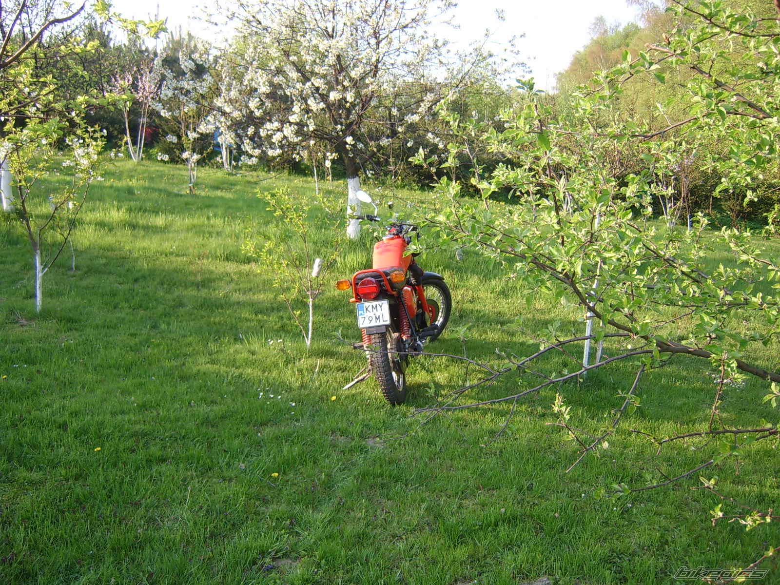 Photo 1268749