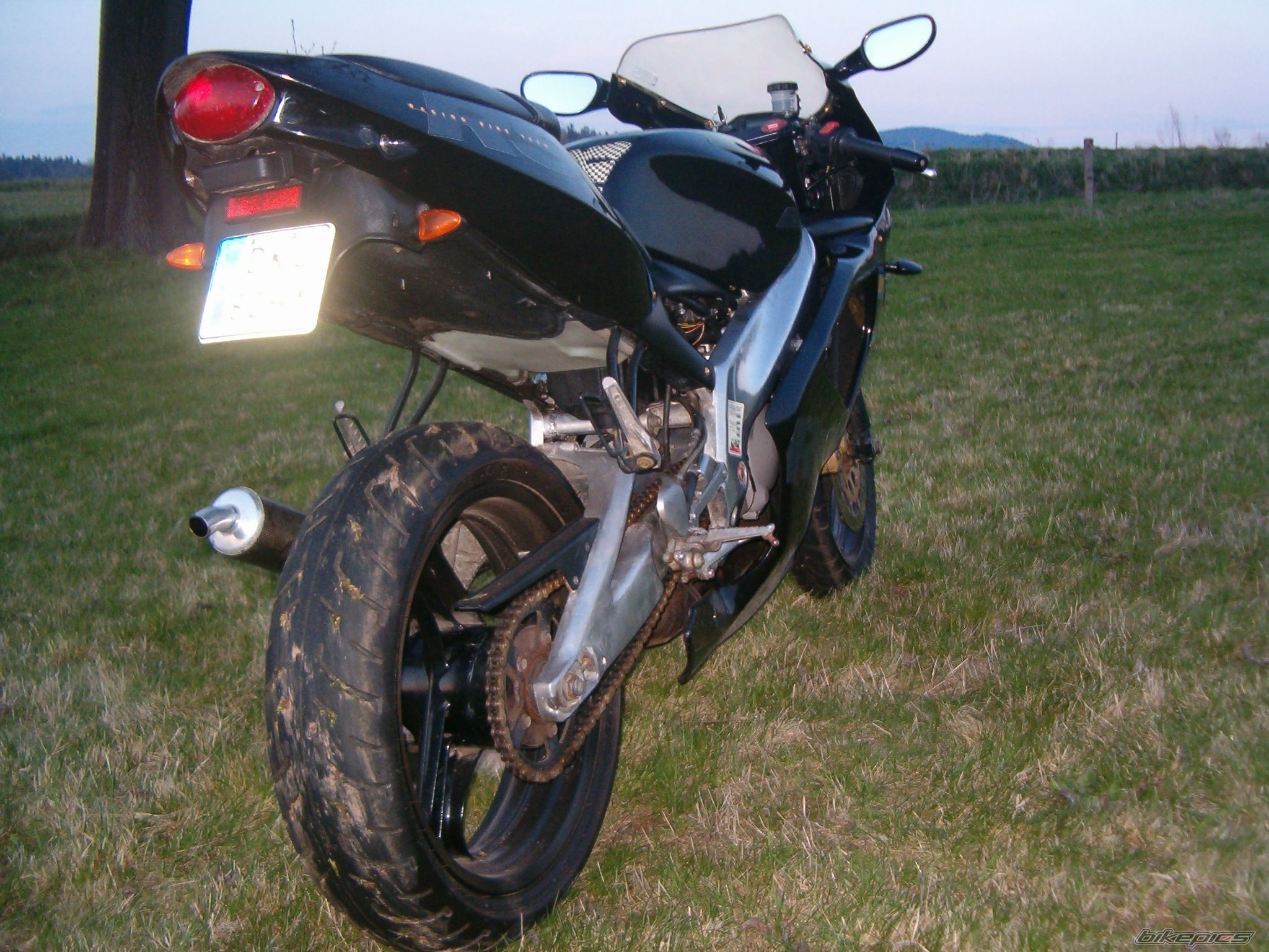 Photo 1268751