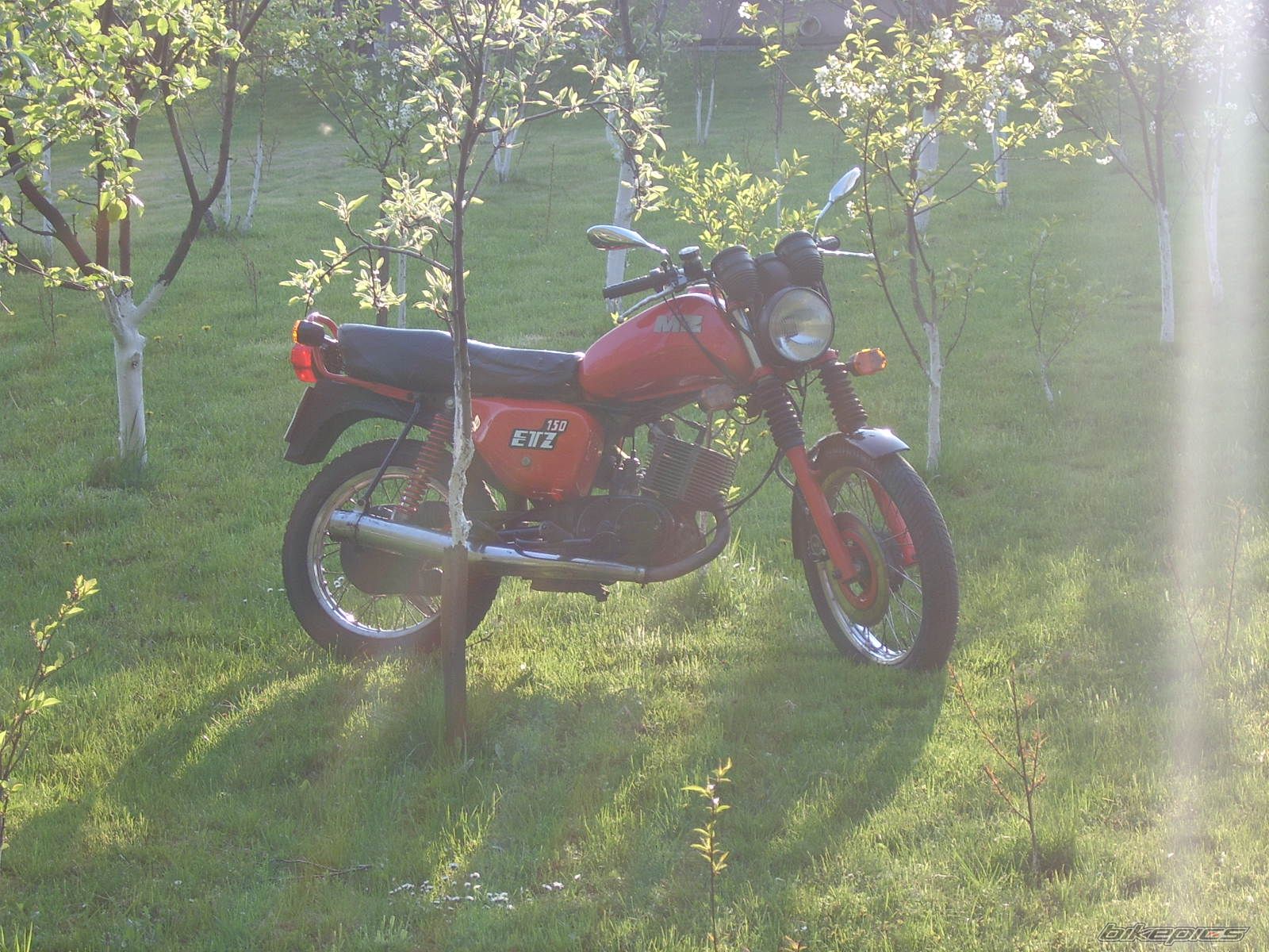 Photo 1268754
