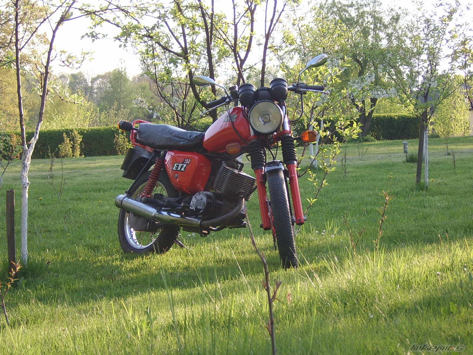 Photo 1268758