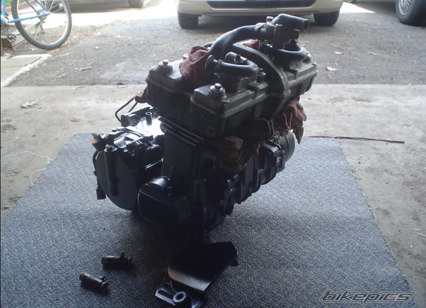 Photo 1268769