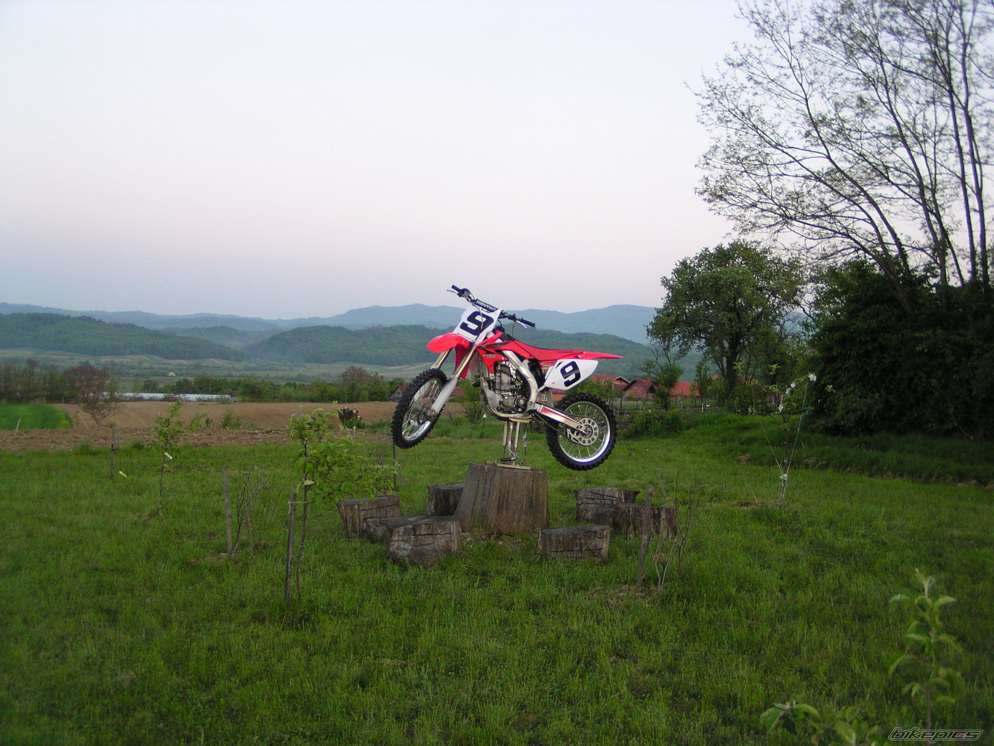 Photo 1268774