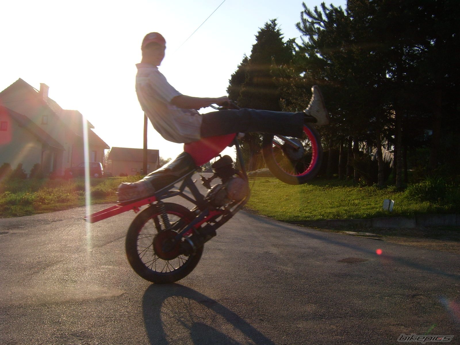 Photo 1268786
