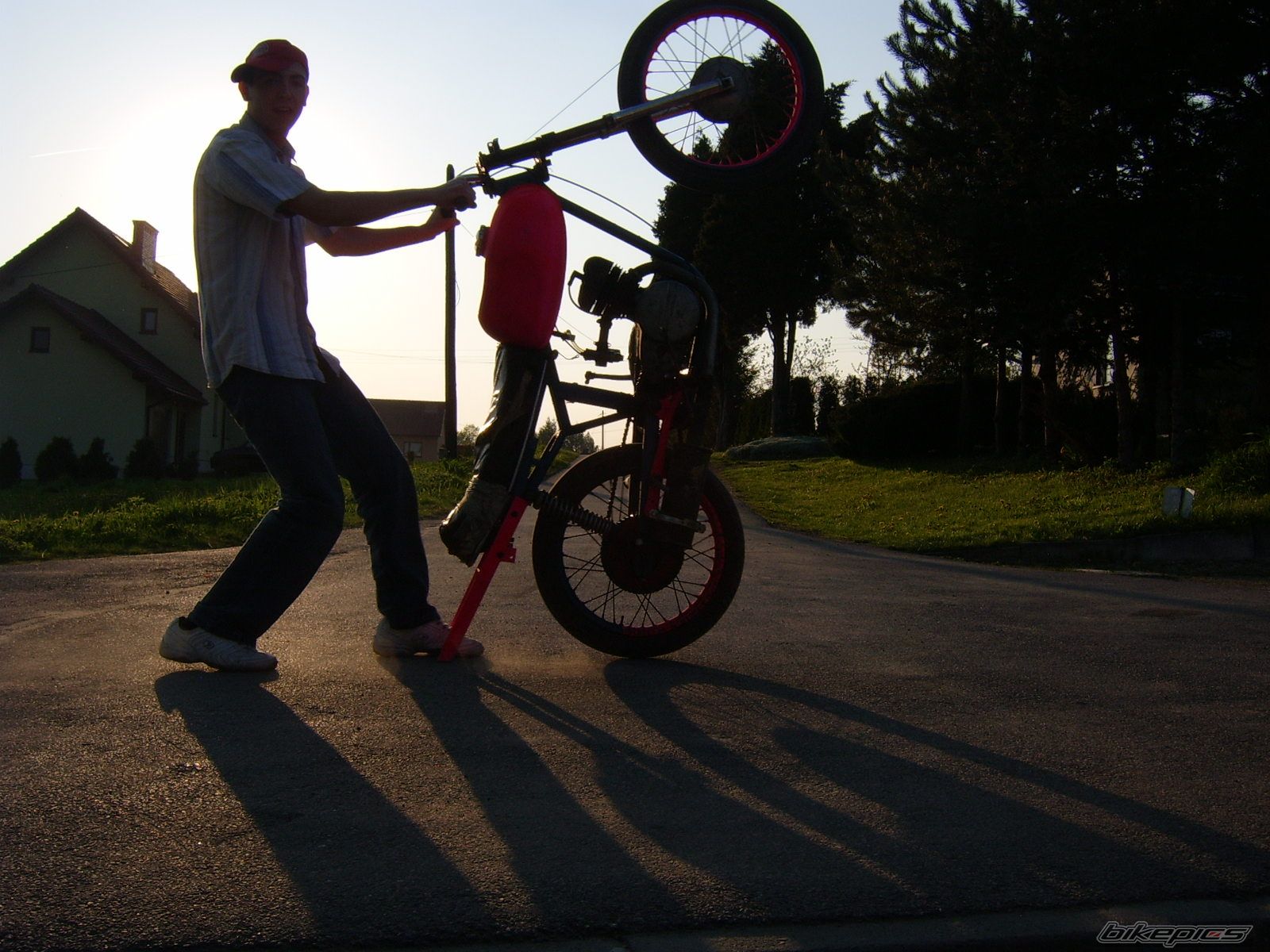 Photo 1268788