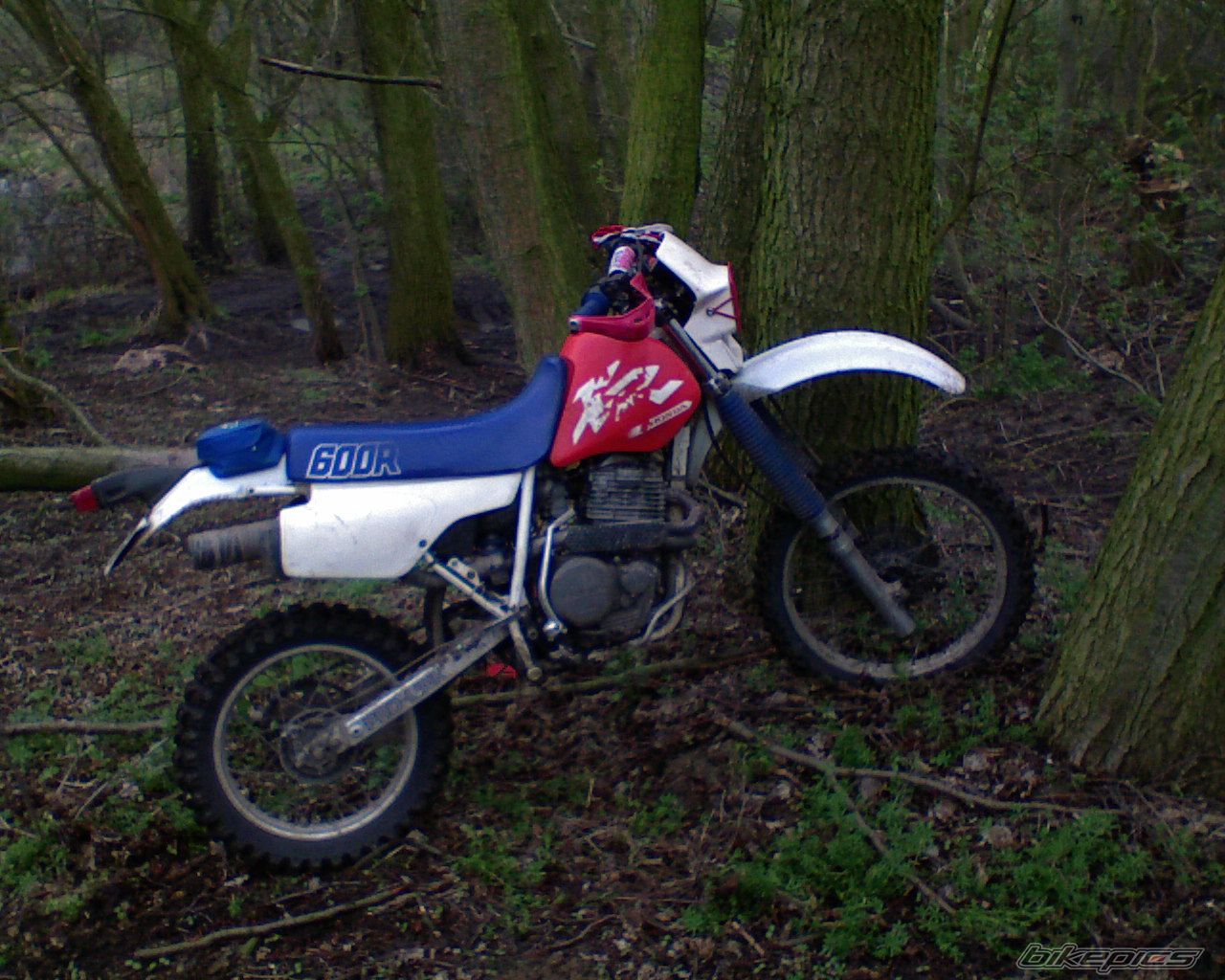 Photo 1268848