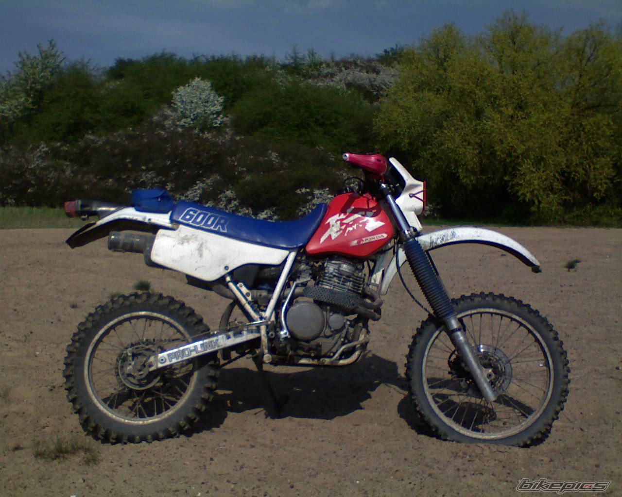 Photo 1268850