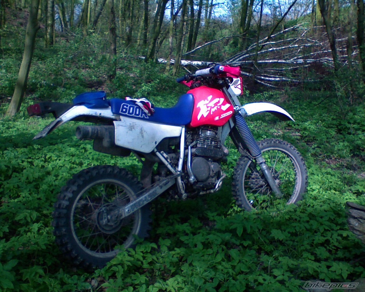 Photo 1268852