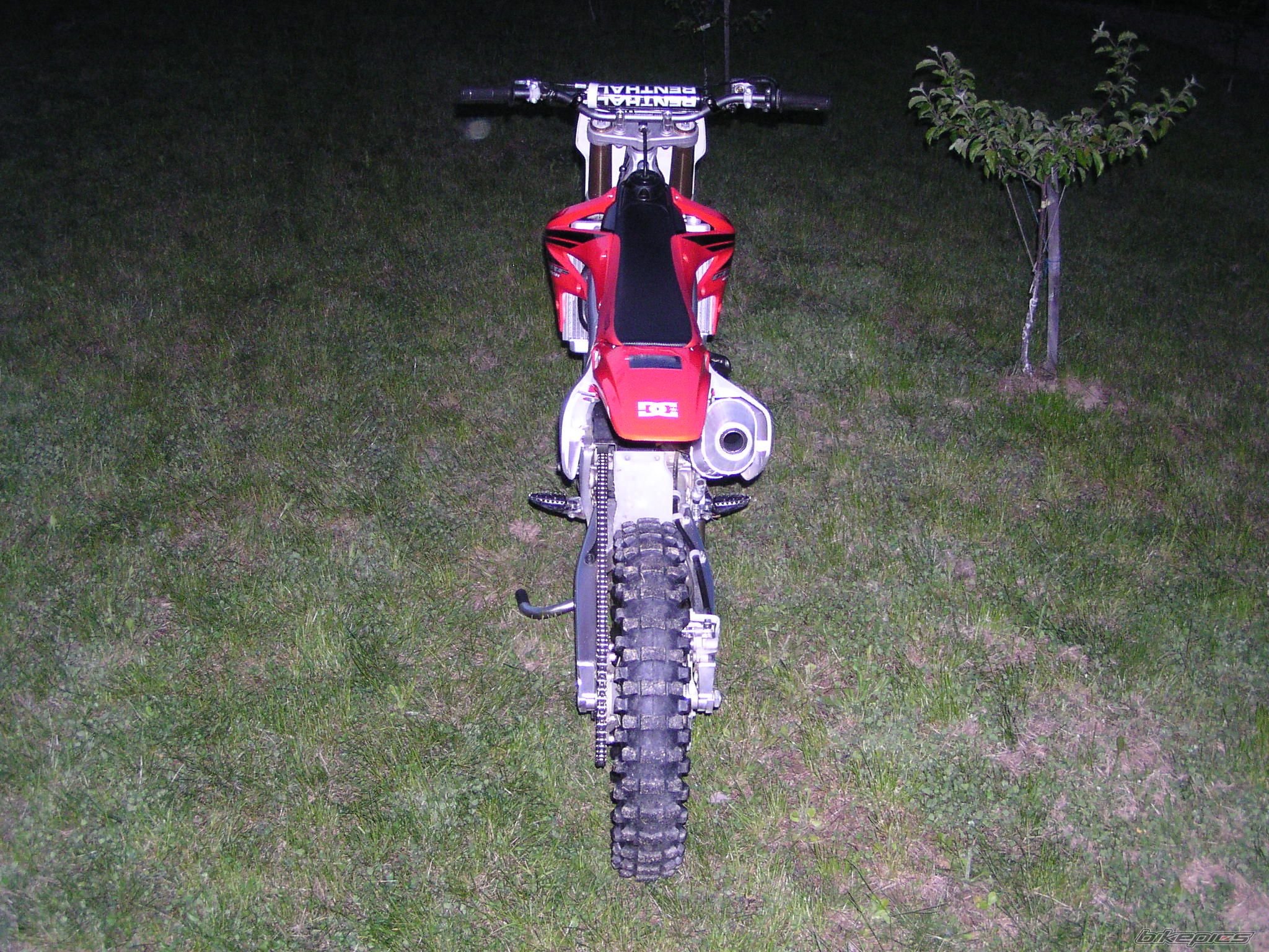 Photo 1268859