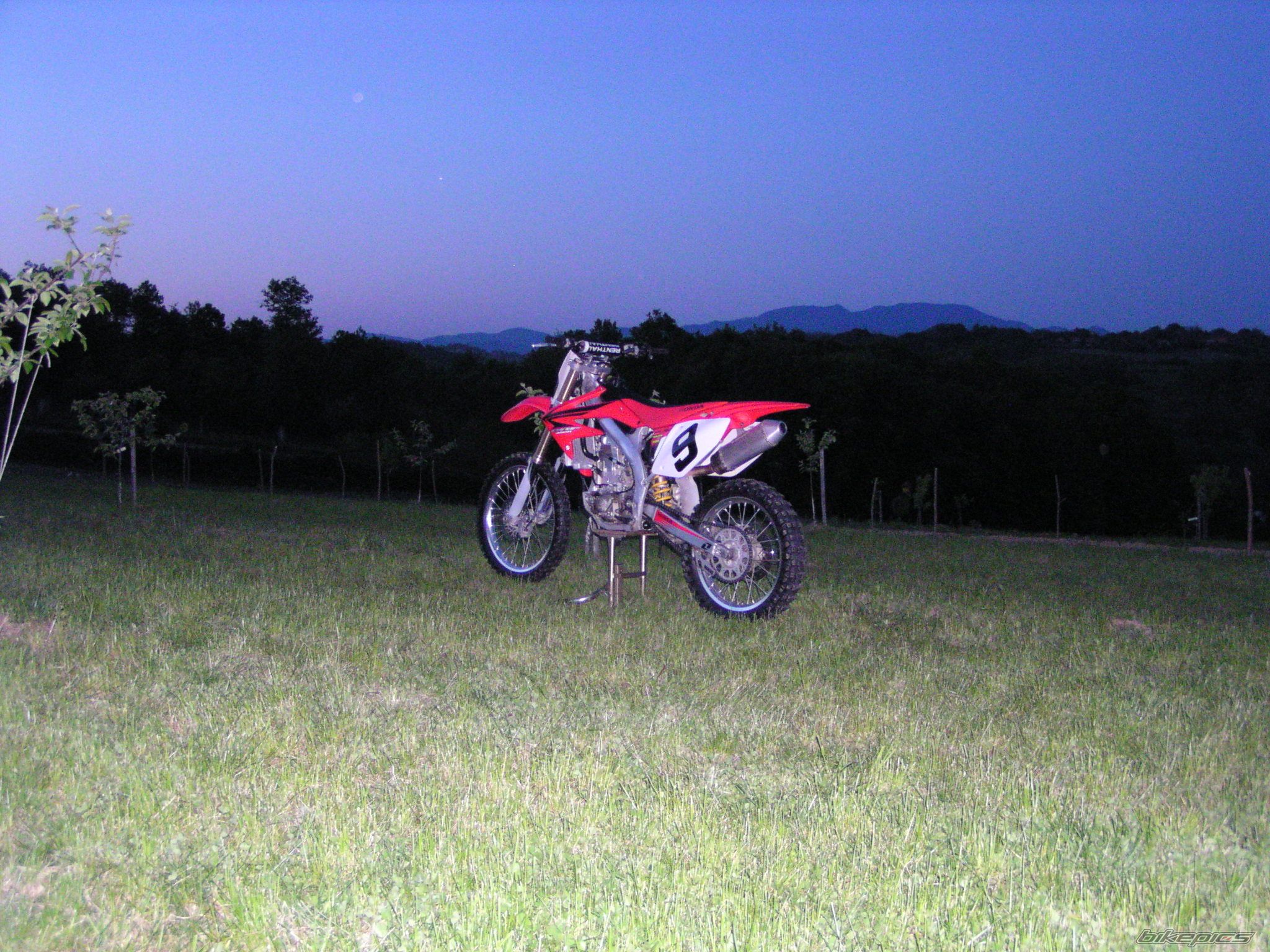Photo 1268861