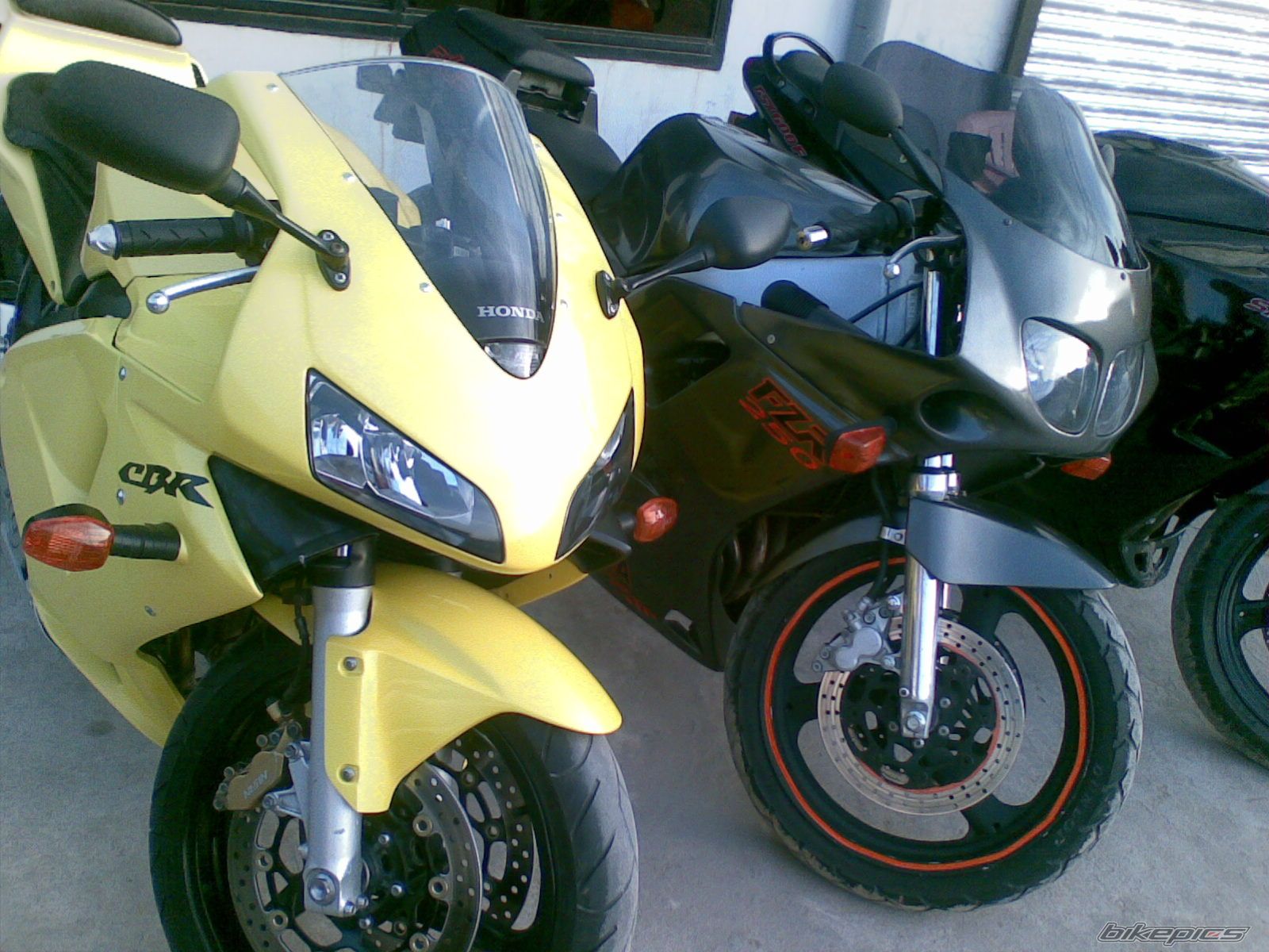 Photo 1268864
