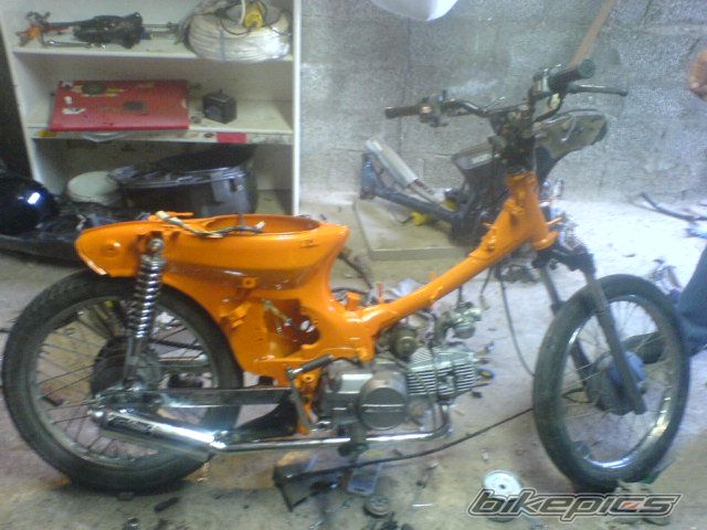 Photo 1268871