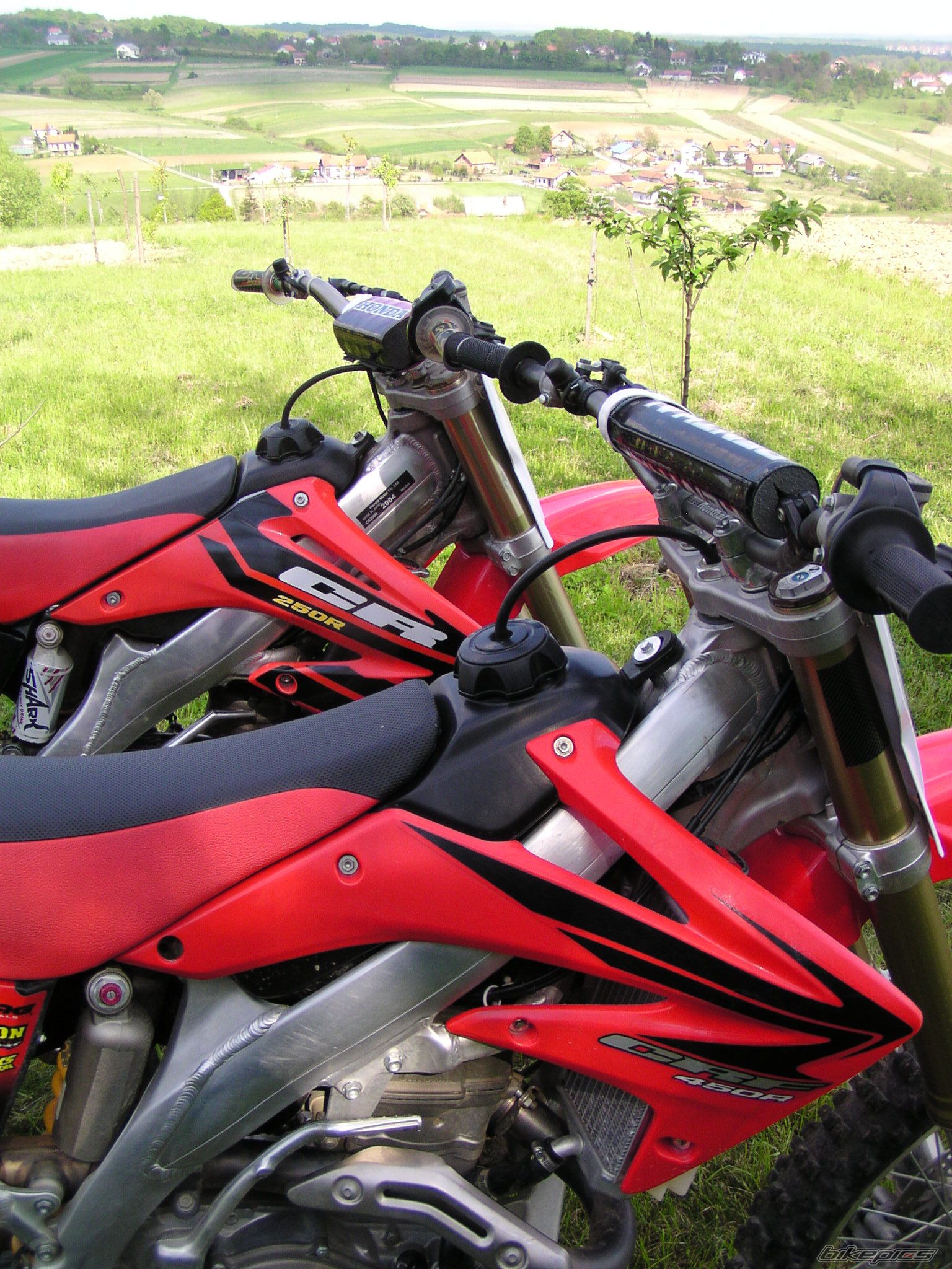 Photo 1268872