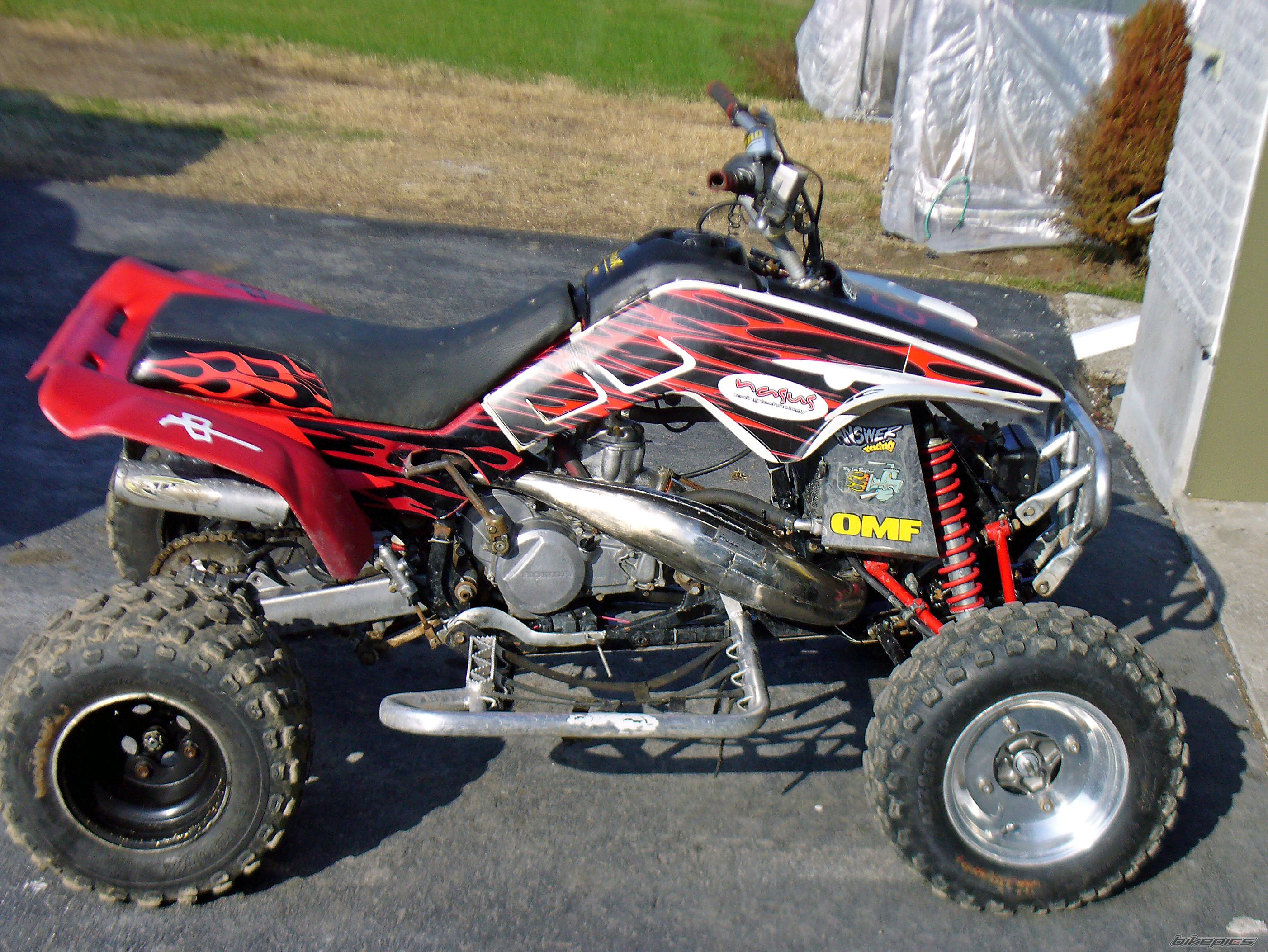 Photo 1268879