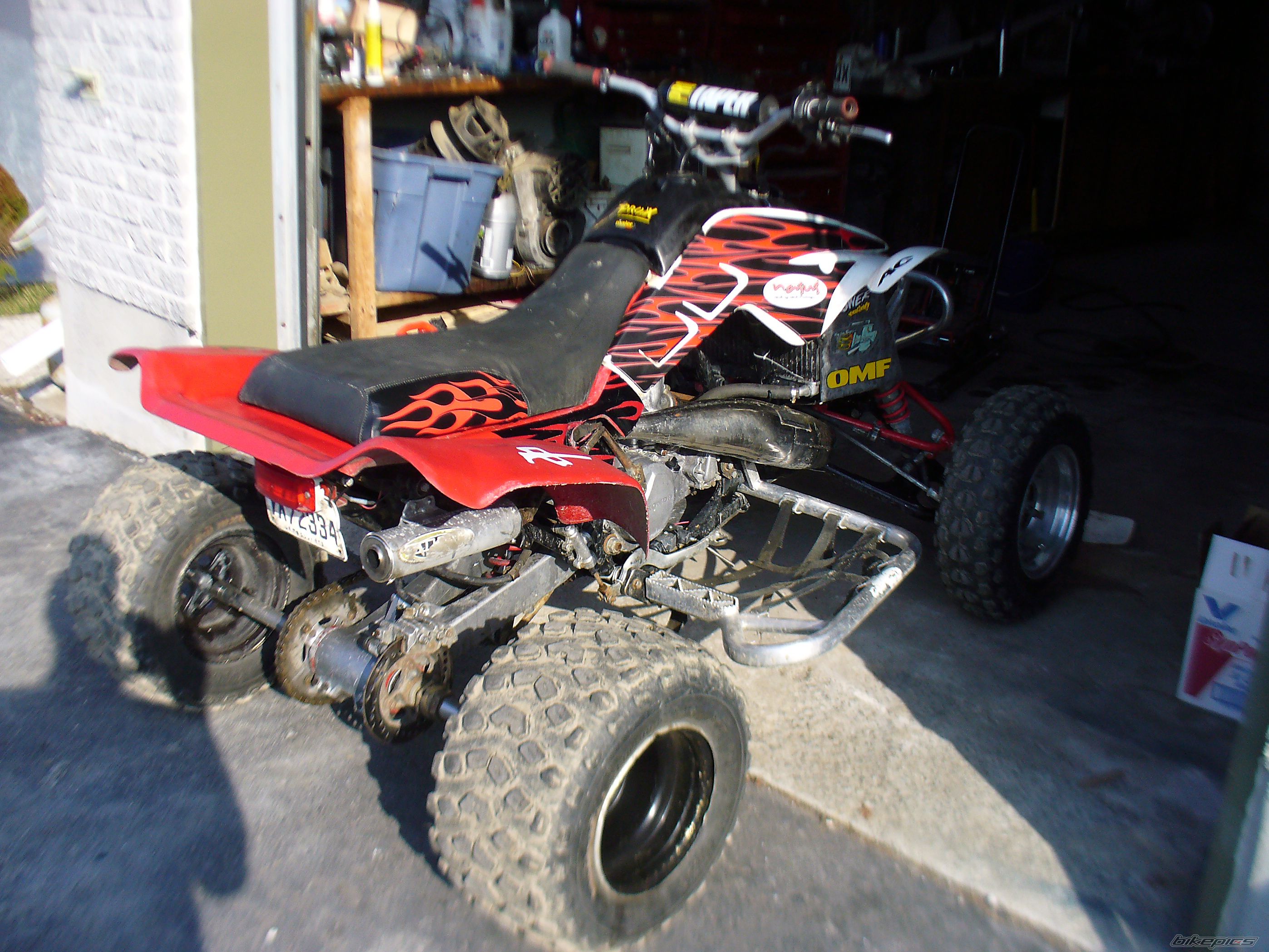 Photo 1268903