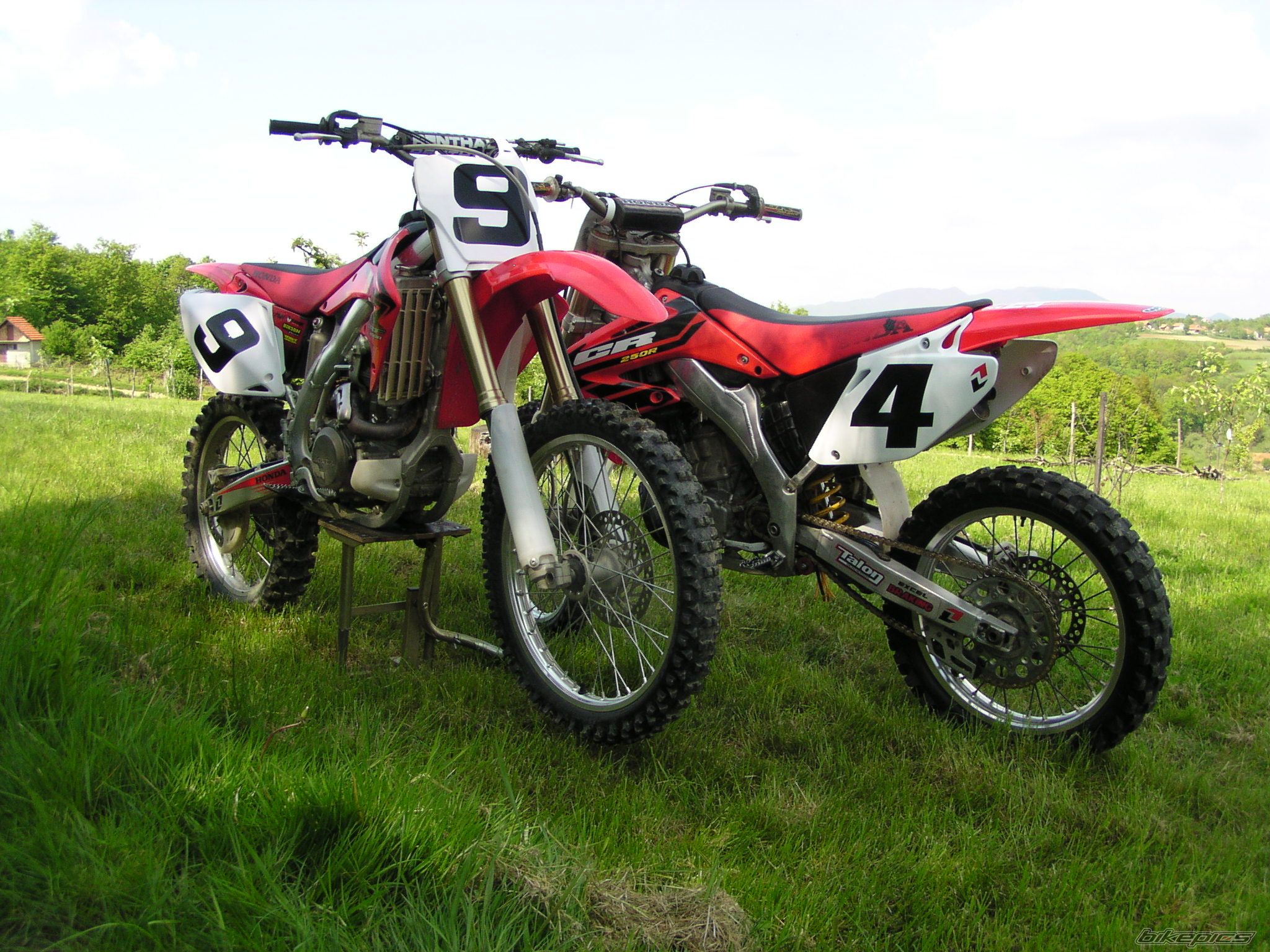 Photo 1268907