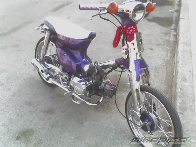 Photo 1268920