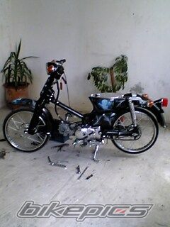 Photo 1268939