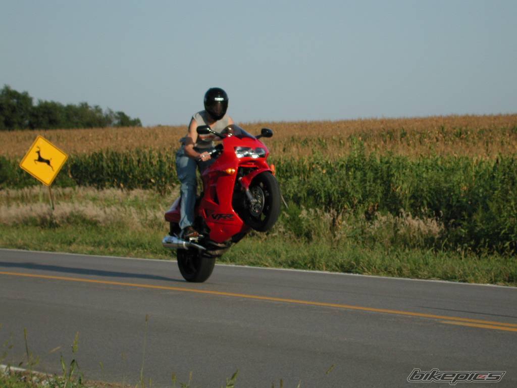 Photo 126901