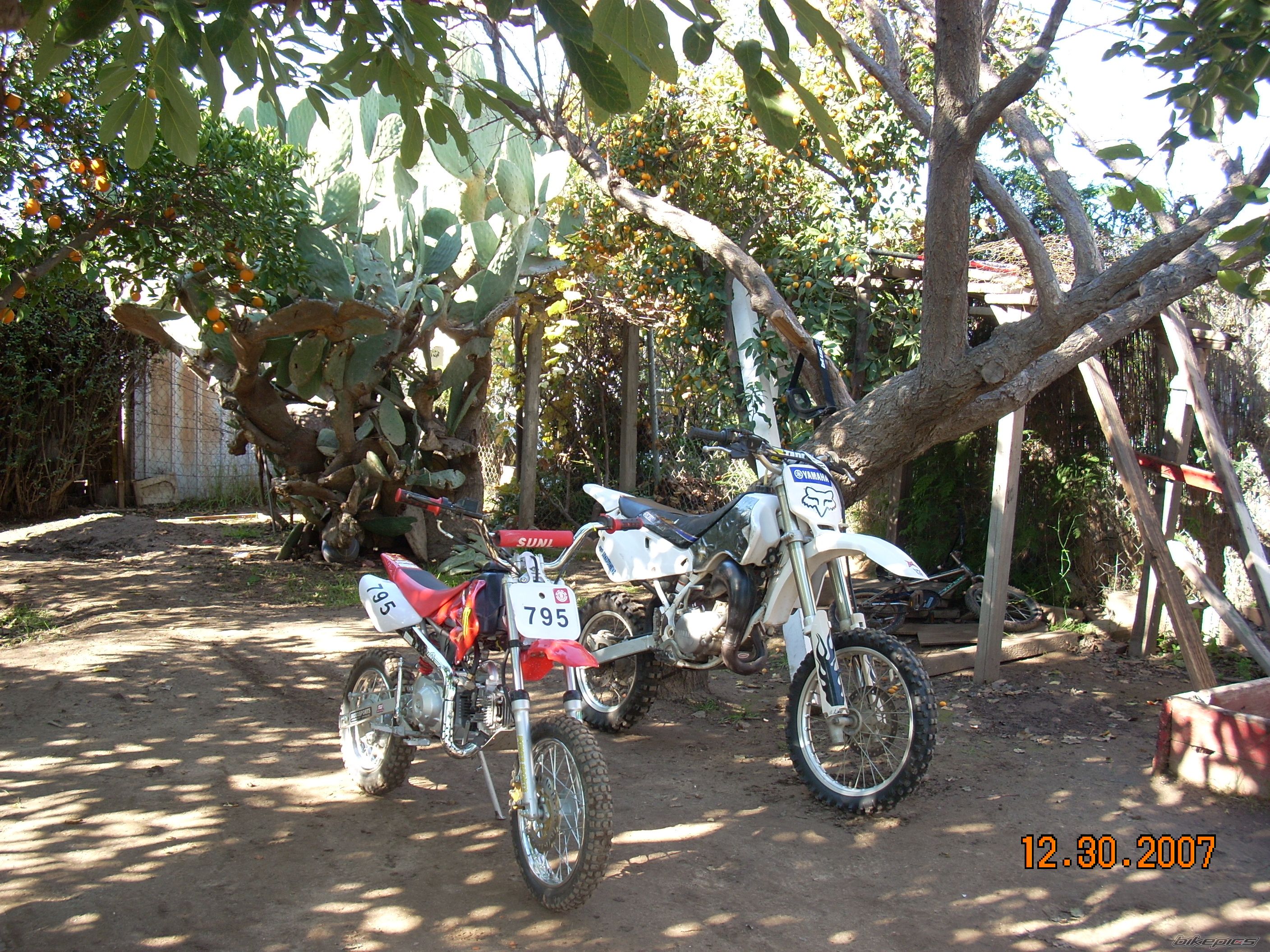 Photo 1269092