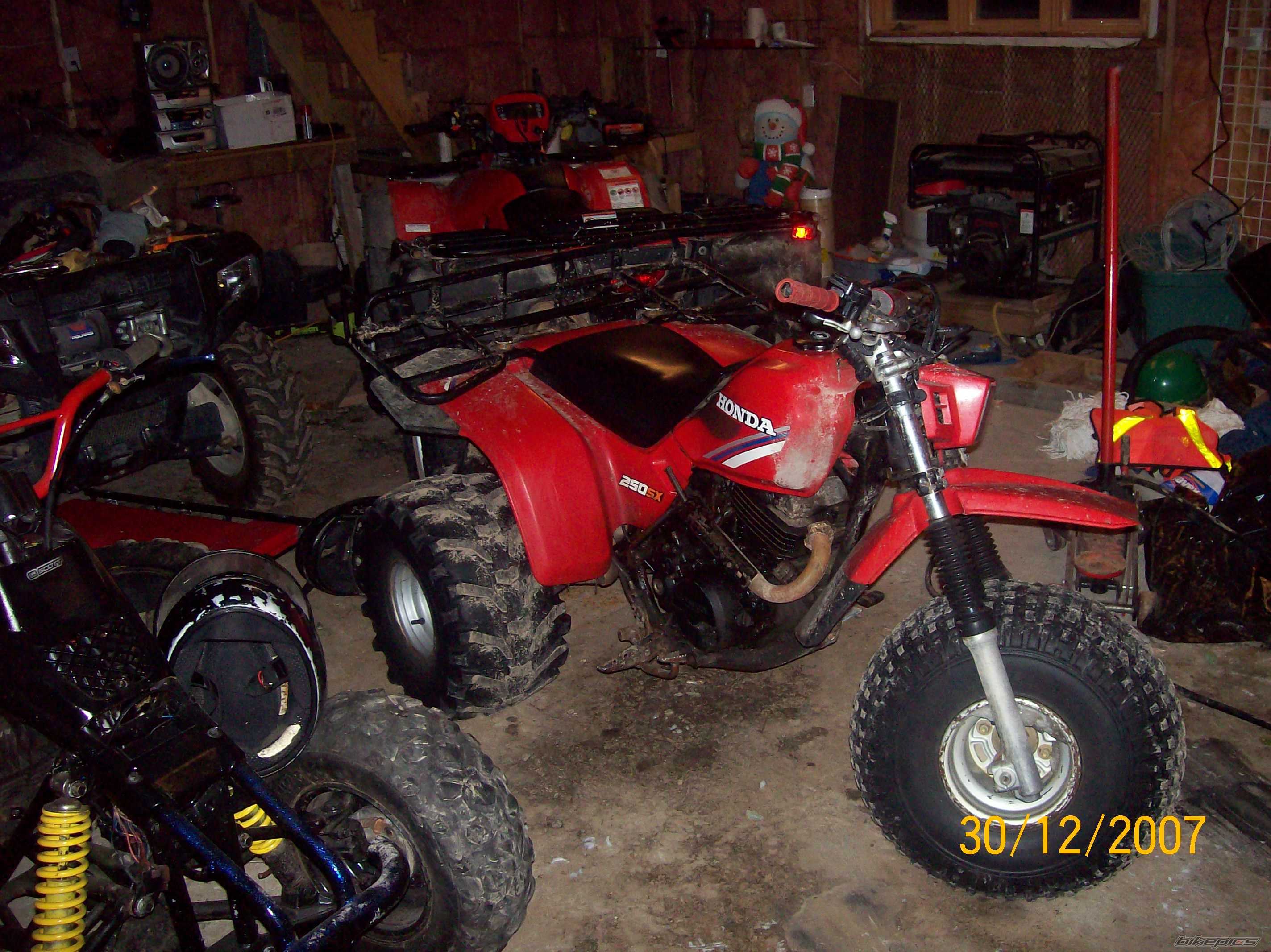 Photo 1269107