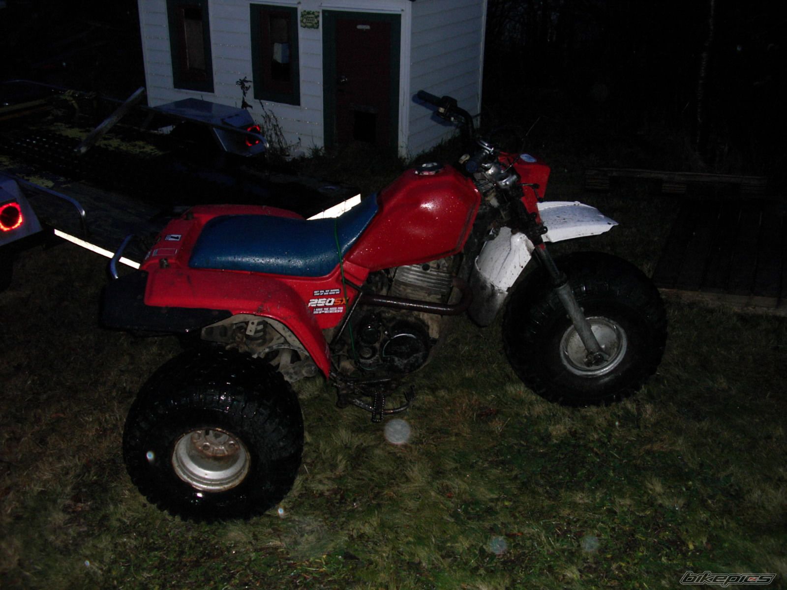 Photo 1269126